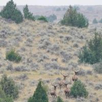 South Deer Creek Ranch images 5