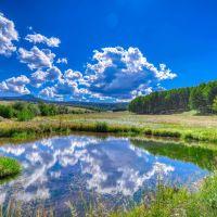 Ranch For Sale In Tierra Amarilla images 5
