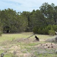 108 - Acres images 2