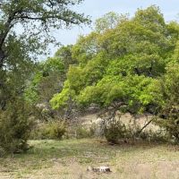 108 - Acres images 4