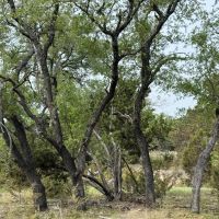 108 - Acres images 5