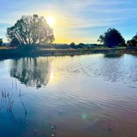Trophy Elk Ranch Estate images 2