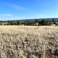 Trophy Elk Ranch Estate images 3
