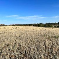 Trophy Elk Ranch Estate images 4