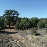 Quality oaks and homesites 50 miles from Downtown Ft. Worth