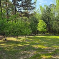 13 Acres with a Tiny House in Yalobusha County MS images 5