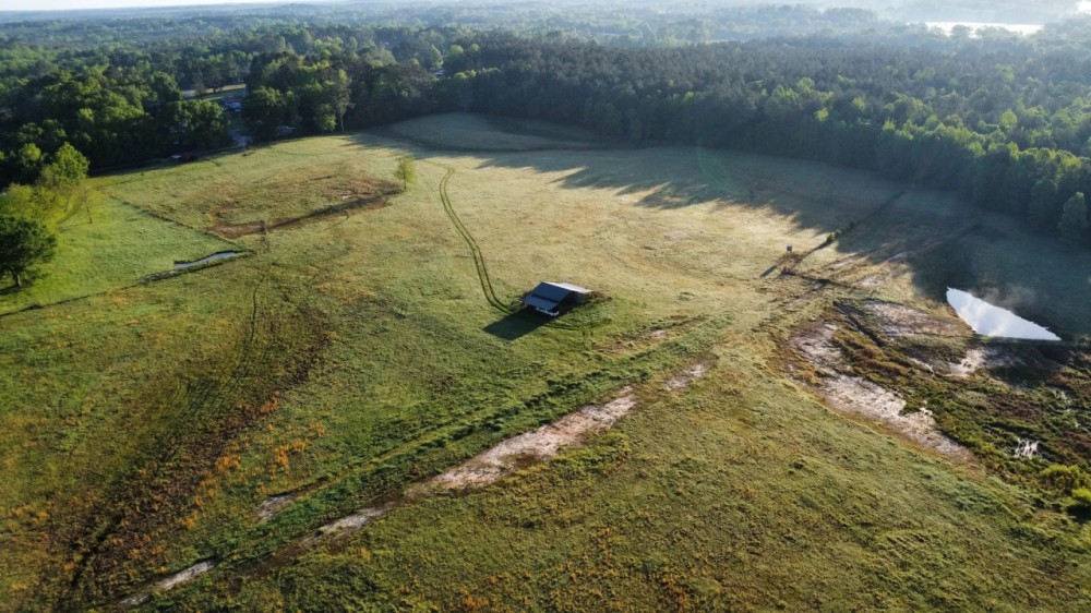 33.5 Acres of Pasture Land in Clarke County MS featured image