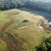 33.5 Acres of Pasture Land in Clarke County MS images 2