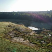 33.5 Acres of Pasture Land in Clarke County MS images 4