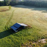 33.5 Acres of Pasture Land in Clarke County MS images 5