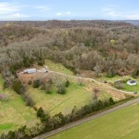 Large estate equestrian lot in Franklin TN images 3