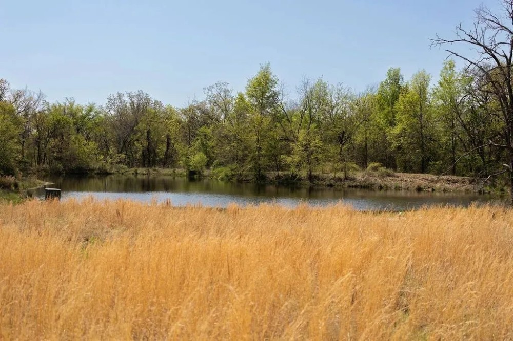 Ford 255 Acres featured image