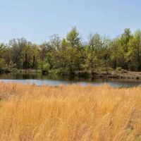 Ford 255 Acres