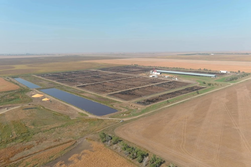 Dakota Feeding Company of South Dakota featured image