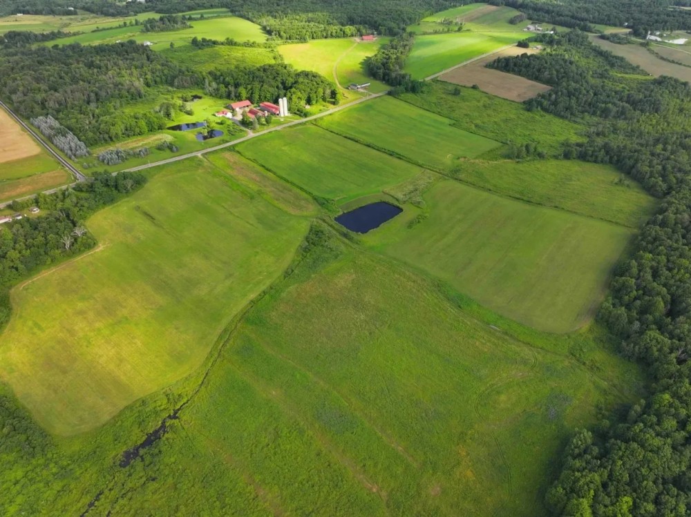 252 acre Farm with House Barns Gas Wells and Ponds in Dewittville NY 7057 Beech Hill Rd featured image