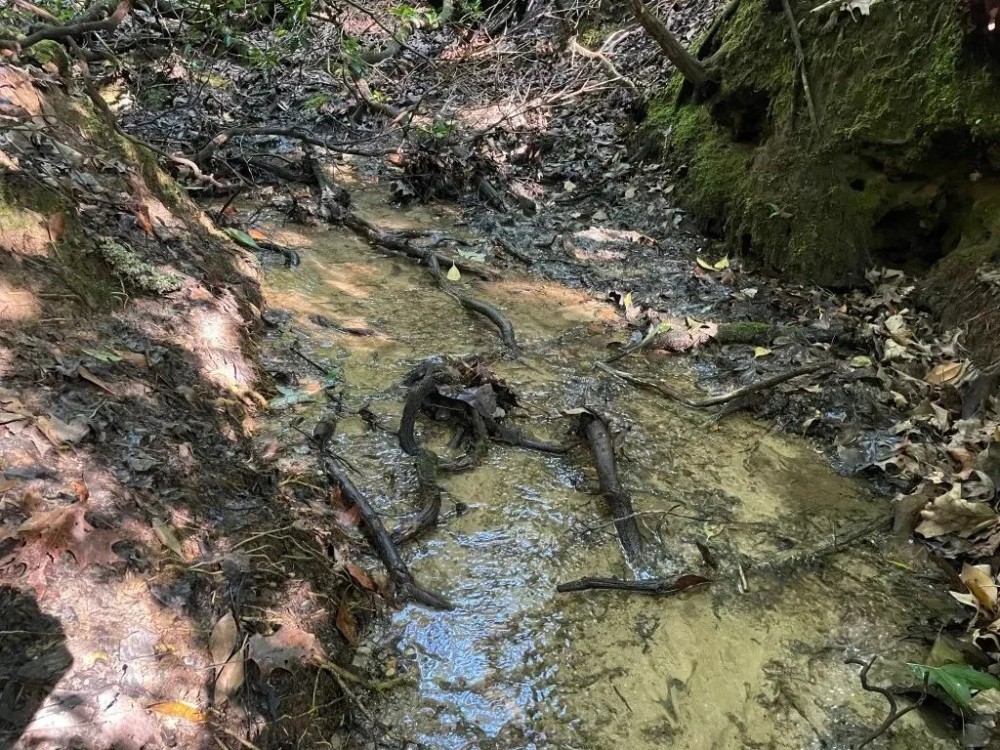 - 14 Acres Tract 8 on Whitewater Point in Tamassee SC featured image