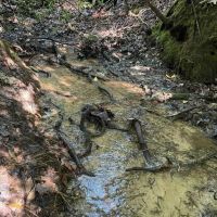 - 14 Acres Tract 8 on Whitewater Point in Tamassee SC
