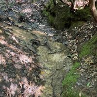 - 14 Acres Tract 8 on Whitewater Point in Tamassee SC images 2