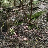 - 14 Acres Tract 8 on Whitewater Point in Tamassee SC images 3