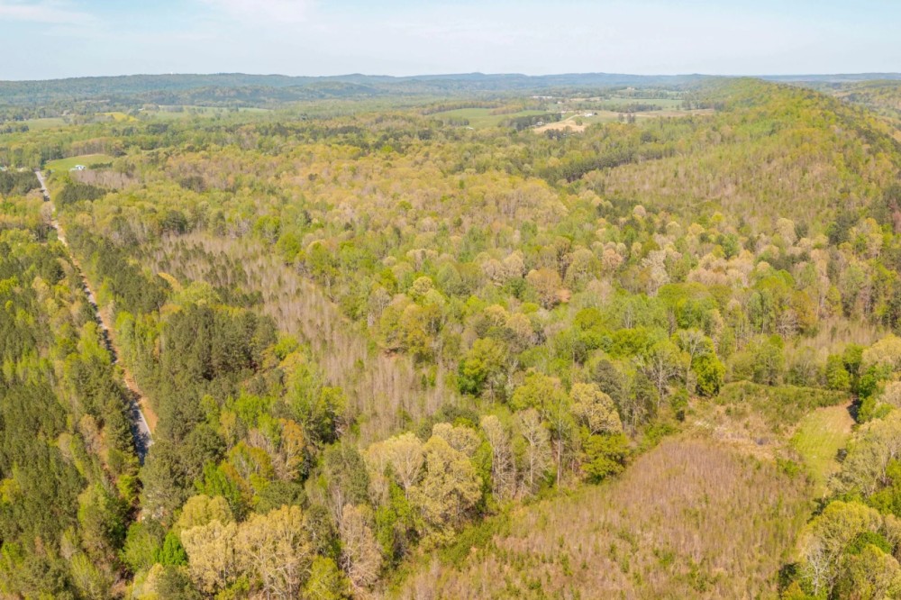 Hunting Land in Etowah County AL featured image