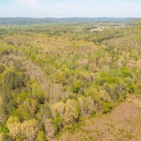 Hunting Land in Etowah County AL