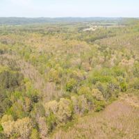 Hunting Land in Etowah County AL images 2