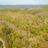 Hunting Land in Etowah County AL images 3