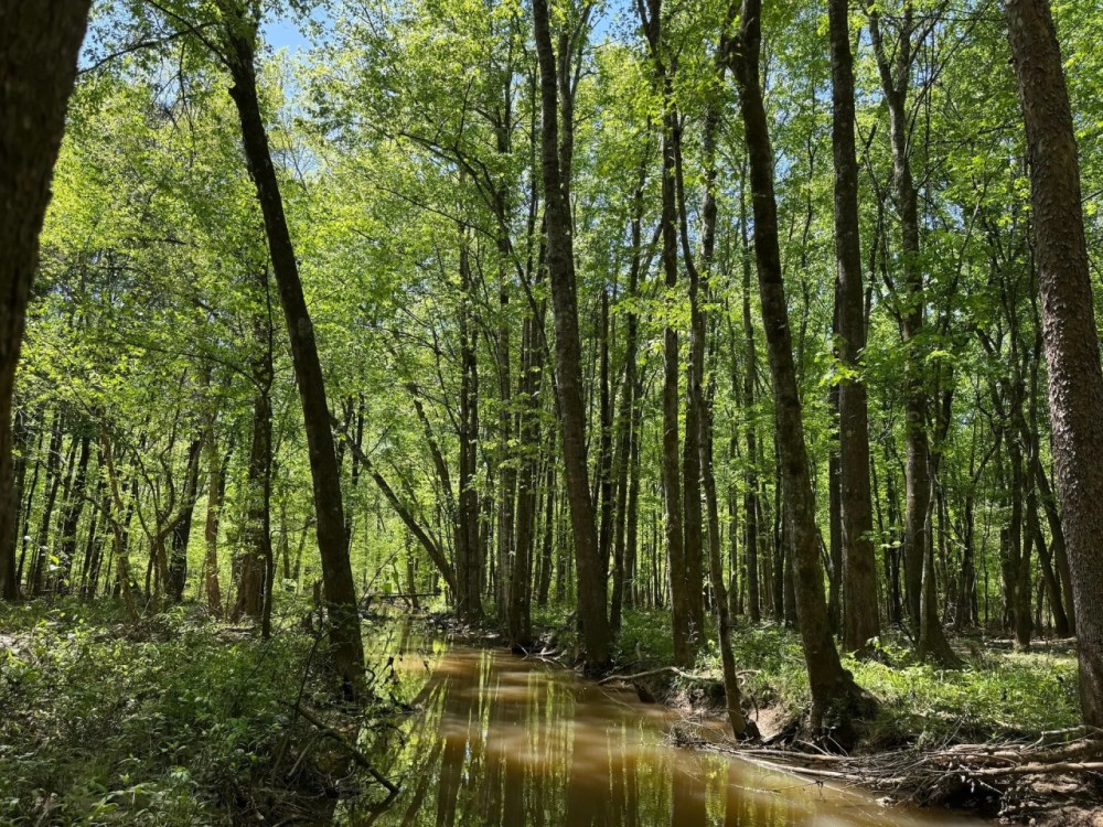38 Acres in Prentiss County MS featured image