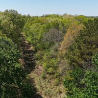 38 Acres in Prentiss County MS images 2