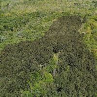 38 Acres in Prentiss County MS images 3