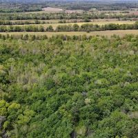 38 Acres in Prentiss County MS images 4