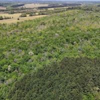 38 Acres in Prentiss County MS images 5