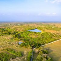 Post Oak Ranch images 4