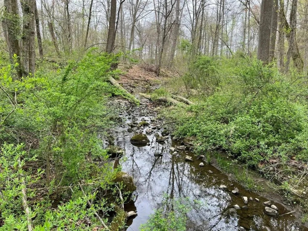 Etown Woodlands featured image