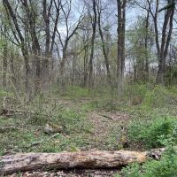 Etown Woodlands images 5