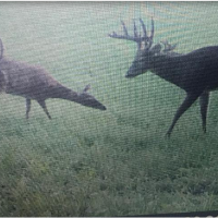 Fulton County 23 acres - partially wooded