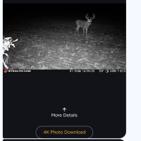 1000003096