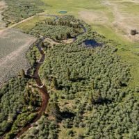 Lake Fork Ranch images 2