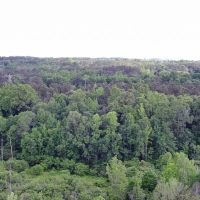 Weaver Tract images 2