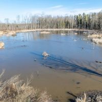 N Richmond Rd. - 60 acres - Ashtabula County images 2