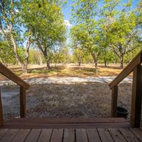 Llano River Pecan Orchard images 4