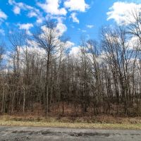 Oakfield North Rd Lot 1 - 7 acres - Trumbull County images 4