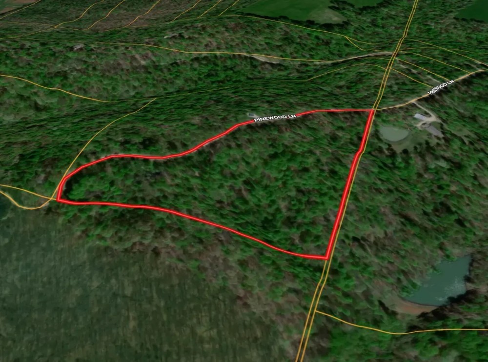 LAND FOR SALE - 21.89 - AC-WOODED - SPRINGVILLE INDIANA - GREENE COUNTY featured image
