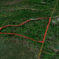 LAND FOR SALE - 21.89 - AC-WOODED - SPRINGVILLE INDIANA - GREENE COUNTY