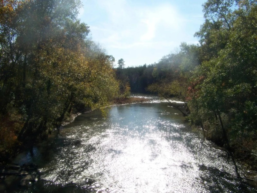 LITTLE RIVER 85 ACRES featured image