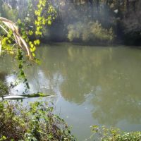 LITTLE RIVER 85 ACRES images 2