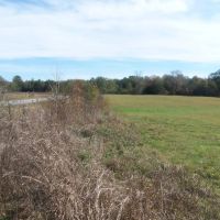 LITTLE RIVER 85 ACRES images 4