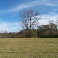 LITTLE RIVER 85 ACRES images 5