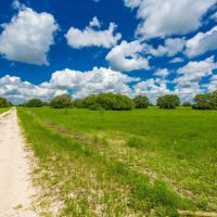 Berclair Ranch images 4