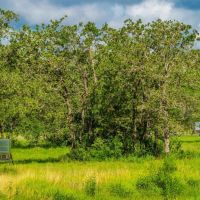 Berclair Ranch images 5
